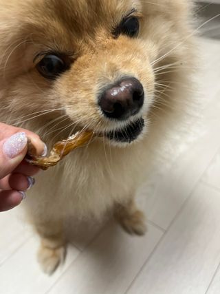 샐리지아님이 올린 리뷰 사진 4