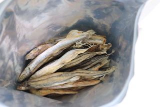 [펫시밀] 원물그대로 영양듬뿍 동결건조 왕북어트릿300g,왕치킨트릿400g,열빙어트릿300g 대용량 간식 — 4.5점을 준 리뷰어가 2023년 5월 올린 사용 사진