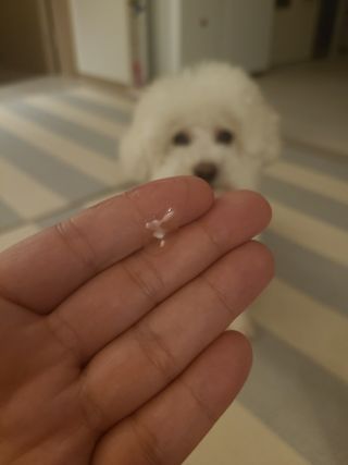 Claire님이 올린 리뷰 사진 3