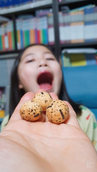 오리온 오징어땅콩의 짭짤고소 신제품, 구운김땅콩 — 5점을 준 리뷰어가 2022년 5월 올린 사용 사진