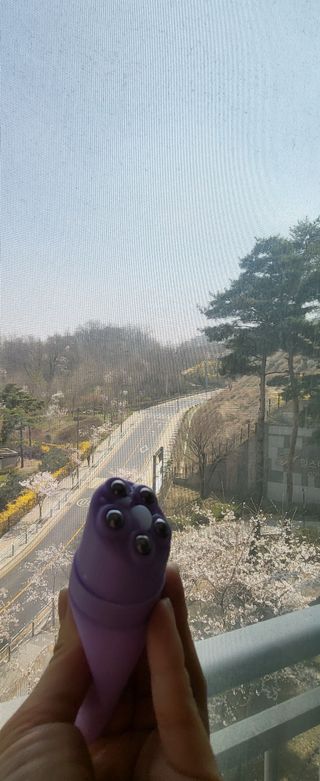 데이지맘님이 올린 리뷰 사진 2