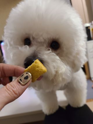 young님이 올린 리뷰 사진 4