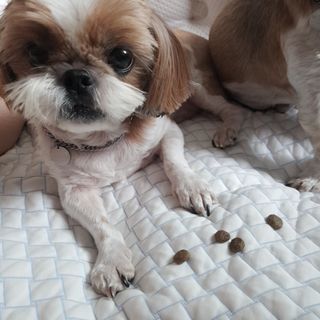 민준맘님이 올린 리뷰 사진 3