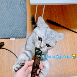 프리마인 자체 기업부설 연구소에서 찾아낸 건강한 수면의 비밀.  슬립토 플러스 30포 — 3점을 준 리뷰어가 2021년 11월 올린 사용 사진