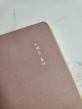 리훈 2023년 하고싶은말다이어리 (세로/정사각 중 택 1, 베이지/블루 중 택 1) — 5점을 준 리뷰어가 2023년 1월 올린 사용 사진