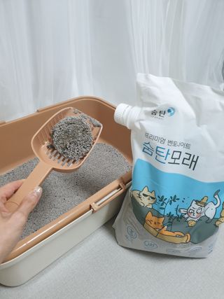 bini님이 올린 리뷰 사진 1