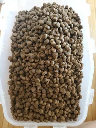 탱크돌콩님이 올린 리뷰 사진 1