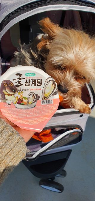 임방글님이 올린 리뷰 사진 3