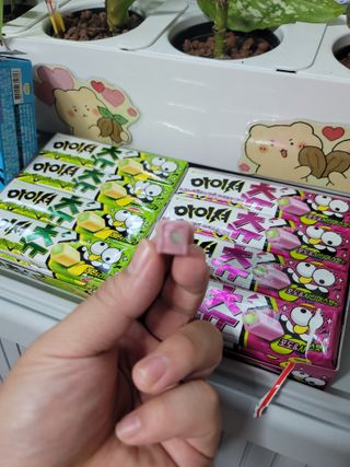 바나나차차님이 올린 리뷰 사진 2