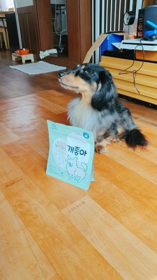 쇼군오마니님이 올린 리뷰 사진 2