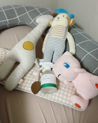올라잍 편목수 피톤치드 스프레이 — 5점을 준 리뷰어가 2022년 10월 올린 사용 사진