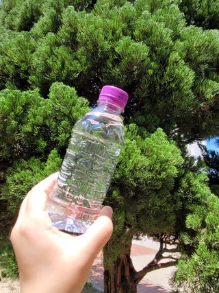 [몽베스트] 위드 어스 330mL — 5점을 준 리뷰어가 2022년 7월 올린 사용 사진