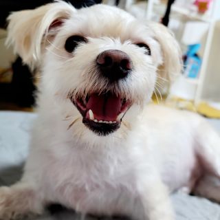 mejoom님이 올린 리뷰 사진 1