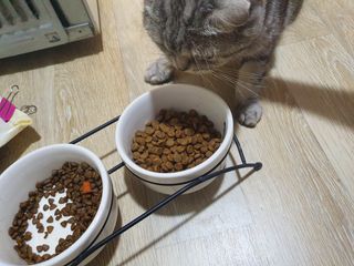 파랑텀블러님이 올린 리뷰 사진 2