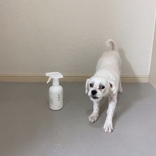 혠님이 올린 리뷰 사진 1
