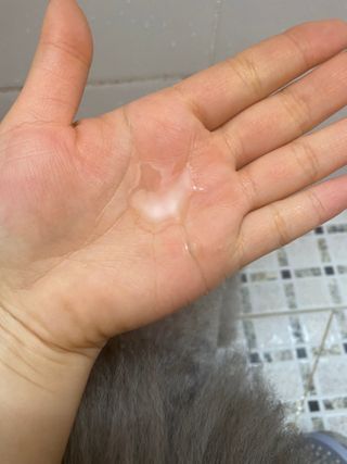 마이츄님이 올린 리뷰 사진 3