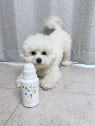 자연그램 매직버블클리너 250g — 3점을 준 리뷰어가 2021년 1월 올린 사용 사진