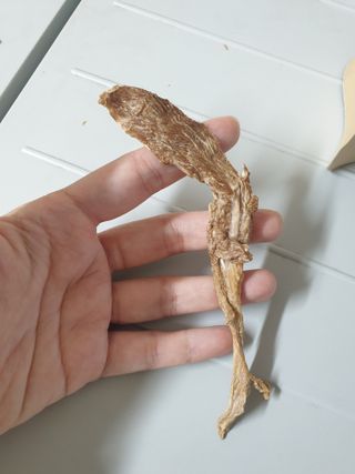 맹고님이 올린 리뷰 사진 3