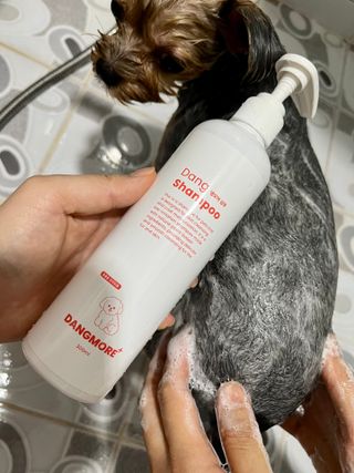[댕모어 샴푸 2종] 댕샴푸 / 퍼피샴푸  2종 세트 (300ml) — 4점을 준 리뷰어가 2023년 8월 올린 사용 사진