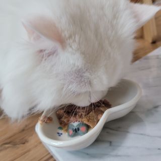 먹보옷님이 올린 리뷰 사진 4