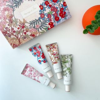 더사가오브수 [사가수] 사계절 원료를 담아내어 진한 보습을 선사하는, 효혜윤 보태니컬 에너지 핸드크림 세트 — 5점을 준 리뷰어가 2023년 3월 올린 사용 사진