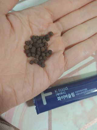 똥기사의 케이푸드 화이버슬림 — 3점을 준 리뷰어가 2021년 1월 올린 사용 사진