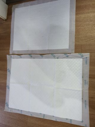 아베크 펫 와이드 프리미엄 중형 애견 강아지 배변 패드 54매 1팩 45g — 5점을 준 리뷰어가 2021년 7월 올린 사용 사진