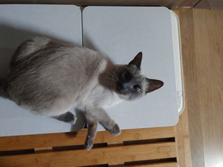 만만이집사님이 올린 리뷰 사진 4