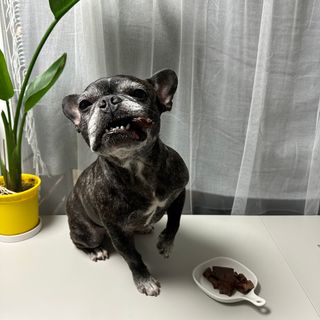 f_ttovely님이 올린 리뷰 사진 2