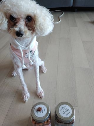 페페로니 진짜 오메가3 연어+소고기 180g+180g — 5점을 준 리뷰어가 2021년 7월 올린 사용 사진