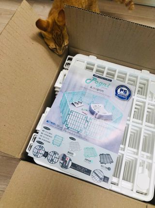 freeofsoul93님이 올린 리뷰 사진 4