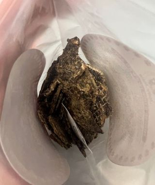 쭈닝님이 올린 리뷰 사진 2