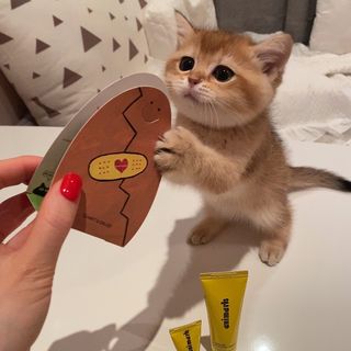 백설님이 올린 리뷰 사진 1