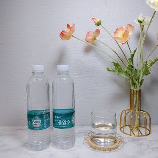닥터유 제주용암수 닥터유 용암수 — 5점을 준 리뷰어가 2021년 8월 올린 사용 사진