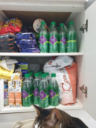 몽베스트 Montbest with Sparkling water Lime20병 — 5점을 준 리뷰어가 2023년 3월 올린 사용 사진