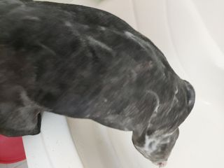 또용님이 올린 리뷰 사진 3