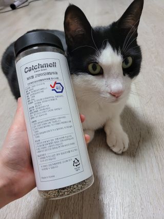 홍시님이 올린 리뷰 사진 2
