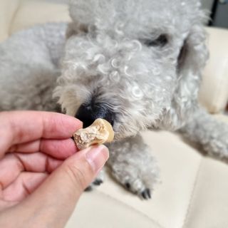 랄라맘마님이 올린 리뷰 사진 2