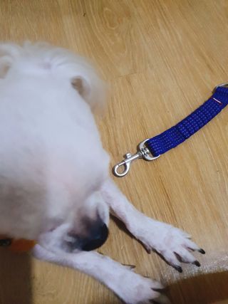 미진냥님이 올린 리뷰 사진 2