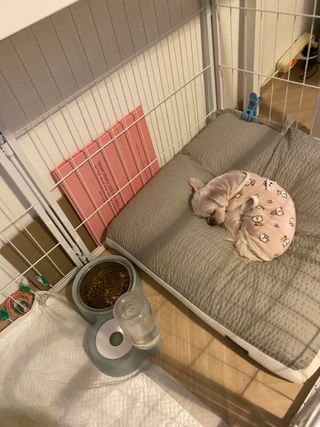 단발소녀님이 올린 리뷰 사진 3