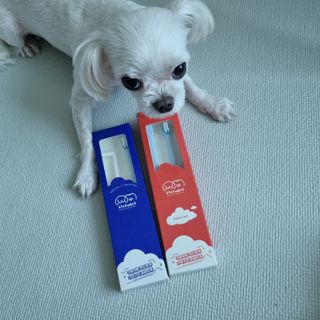 제잉님이 올린 리뷰 사진 1