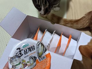 언니의호기심님이 올린 리뷰 사진 4