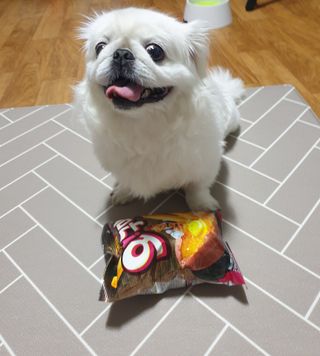 페키아름님이 올린 리뷰 사진 1