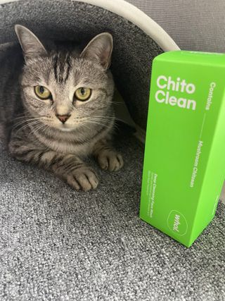 whol 키토클린 200ml - 항균항바이러스 강아지 눈 코 입 귀 세정탈취 고양이 턱드름제거 무향 워터리스 대용량 — 5점을 준 리뷰어가 2022년 10월 올린 사용 사진