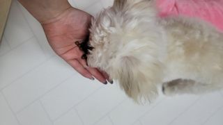 김지영님이 올린 리뷰 사진 2