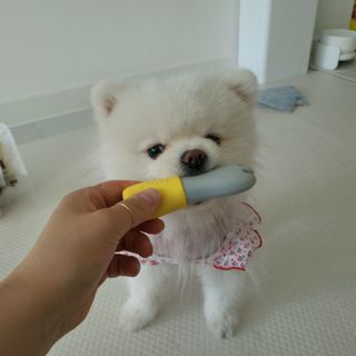 sunny님이 올린 리뷰 사진 2