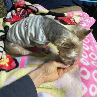 데닌슈님이 올린 리뷰 사진 1