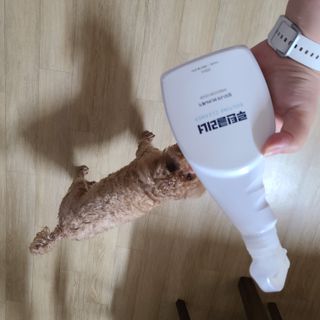 제이님이 올린 리뷰 사진 2