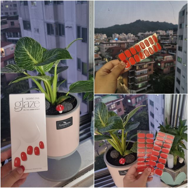 데싱디바 글레이즈 젤네일 크레이지 레드 가을 컬렉션_4종 중 택 1 리뷰 사진