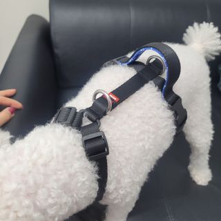 K케이님이 올린 리뷰 사진 4